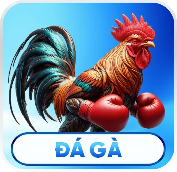 Đá gà ee88